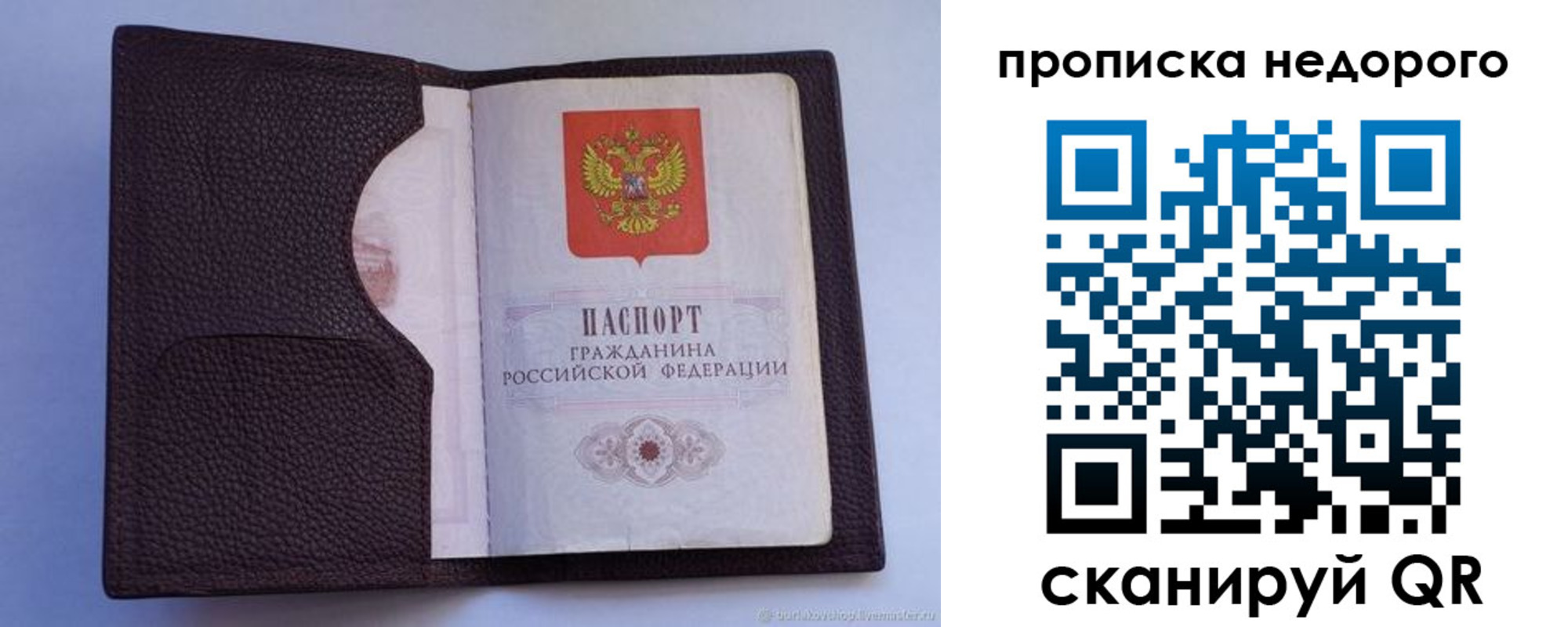 прописка законно в Лыткарино